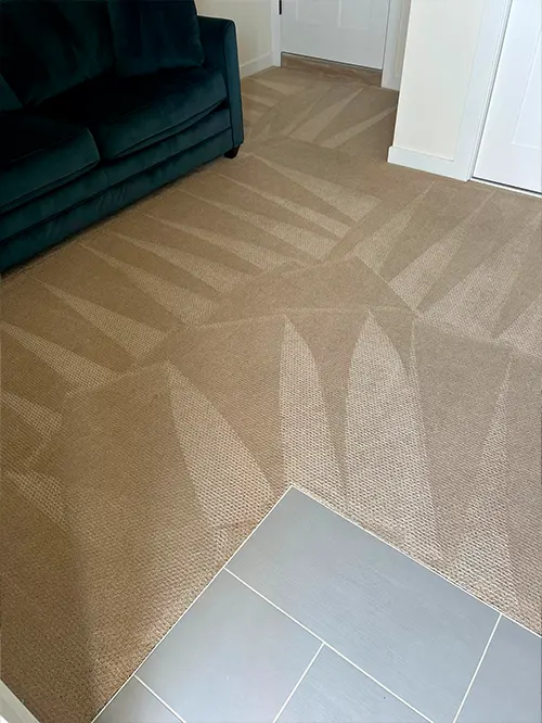 Our hot water extraction technique removes deep-seated dirt, pet hair, and allergens, restoring your carpets' freshness. We take special care to clean and protect each fiber.