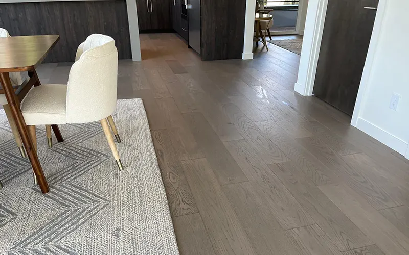 regular-18.11.2024-03