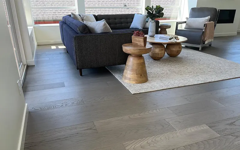 regular-18.11.2024-04