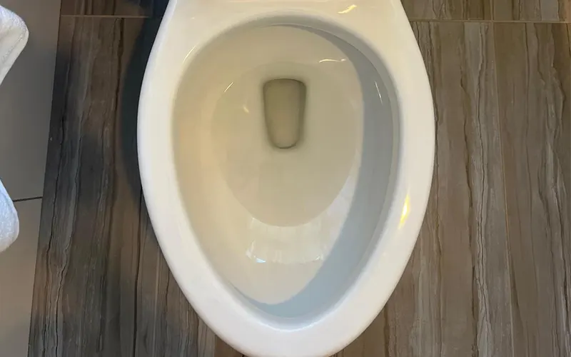 regular-18.11.2024-12